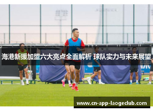 /uploads/images/20250924/hai-gang-xin-yuan-jia-meng-liu-da-liang-dian-quan-mian-jie-xi-qiu-dui-shi-li-yu-wei-lai-zhan-wang.webp