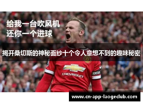 揭开桑切斯的神秘面纱十个令人意想不到的趣味秘密