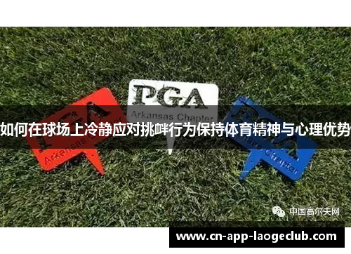 如何在球场上冷静应对挑衅行为保持体育精神与心理优势