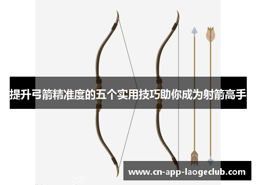 提升弓箭精准度的五个实用技巧助你成为射箭高手